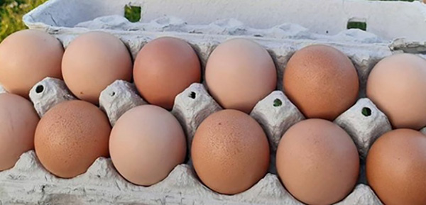 Huevo agroecológico kampepen en canasta en casa