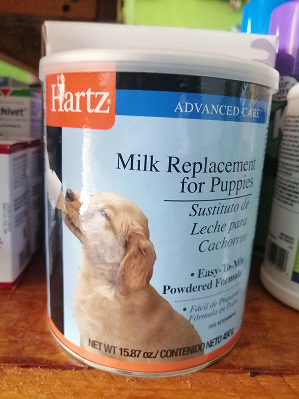 Sustituto de leche para mascotas en canasta en casa