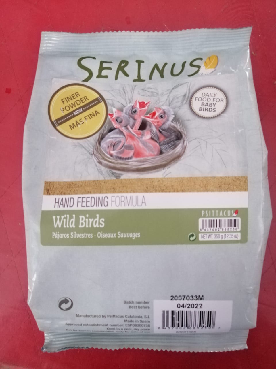 Serinus Hand Feeding Wild bird en canasta en casa