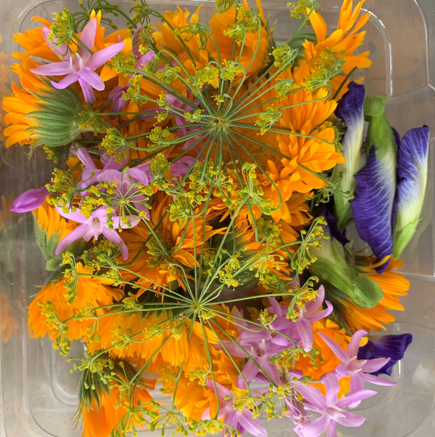 Mix de flores comestibles en canasta en casa
